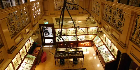 Warrington Museum & Art Gallery