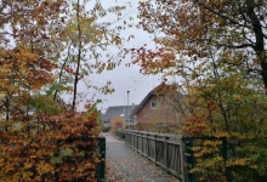 Parkanlage mit Teich景点图片