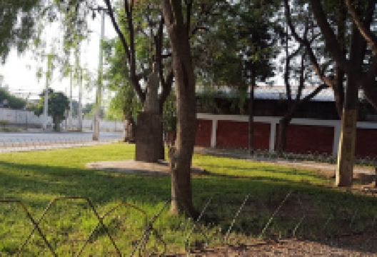 Plaza del Profesor景点图片