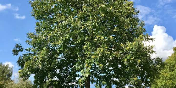 Naherholungsgebiet Wurmtal