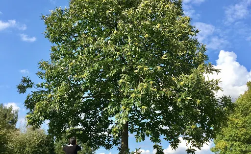 Naherholungsgebiet Wurmtal