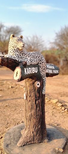 Ruaha National Park INGRESSO-伊林加