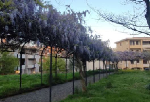 Parco Dante Alighieri (Serravalle)景点图片