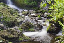 Crawfordsburn Glen Park And Garden景点图片