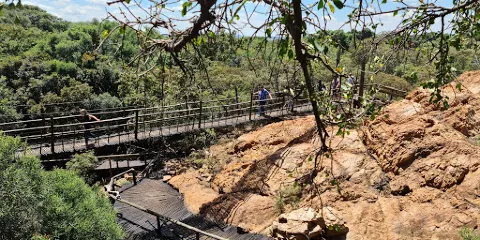 Bush Babies Monkey Sanctuary