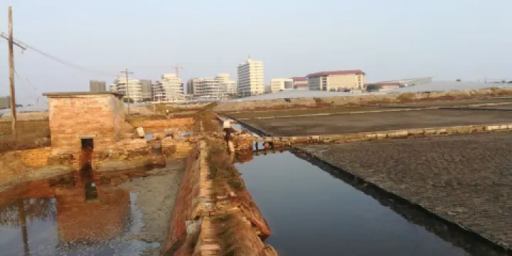 北海竹林鹽場