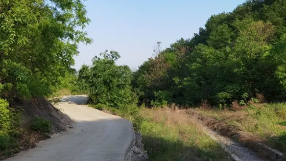 黃廟溝省級森林公園