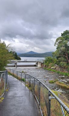 Maroondah Reservoir Park-希尔斯维尔