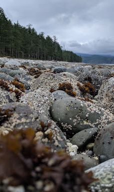 Rebecca Spit Marine Provincial Park-奎德拉岛