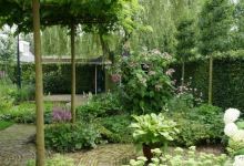 Hoveniersbedrijf Van Amelsfoort V.O.F.景点图片