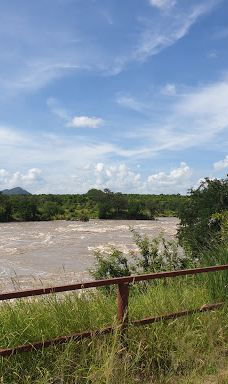 Ruaha National Park INGRESSO-伊林加