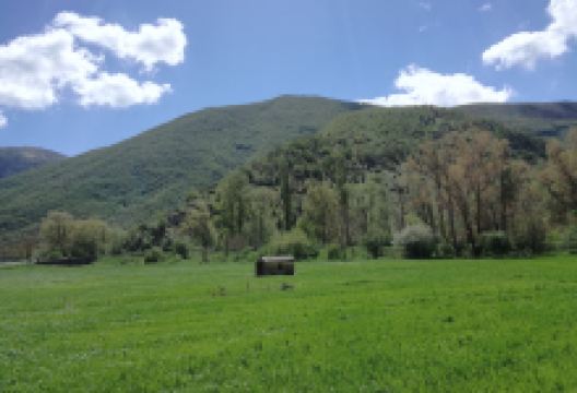 Costa eletta景点图片