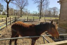 Summer Barn购物图片