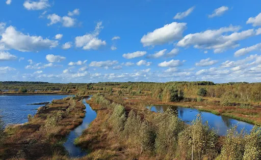 Himmelmoor