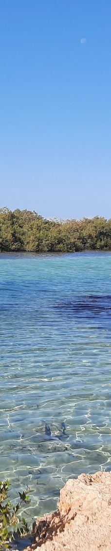 穆罕默德国家公园-Qesm Sharm Ash Sheikh