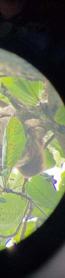 卡维塔国家公园-Talamanca