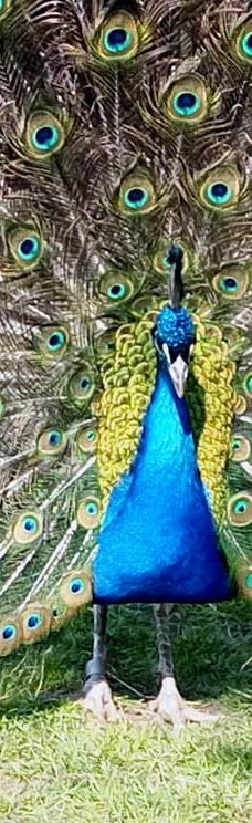 Park De Wezenlanden-兹沃勒