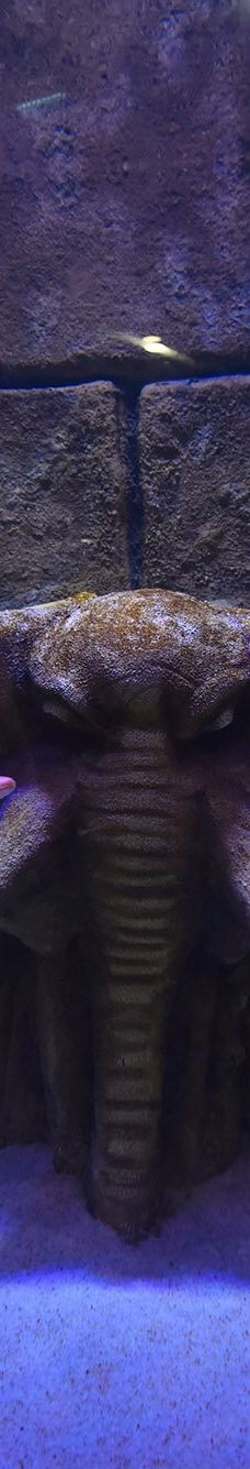 ViaSea水族馆-伊斯坦布尔