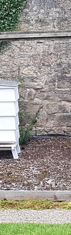 Ripley Castle-哈罗盖特