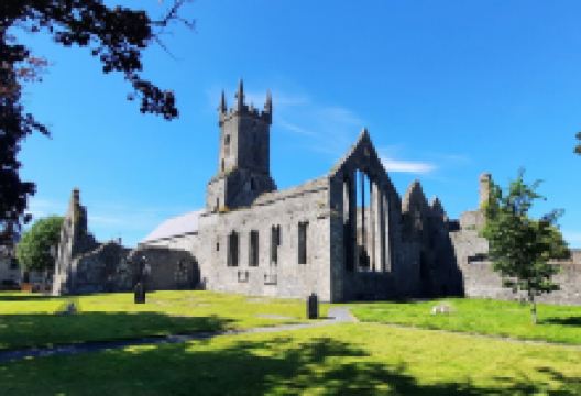 Ennis Friary景点图片