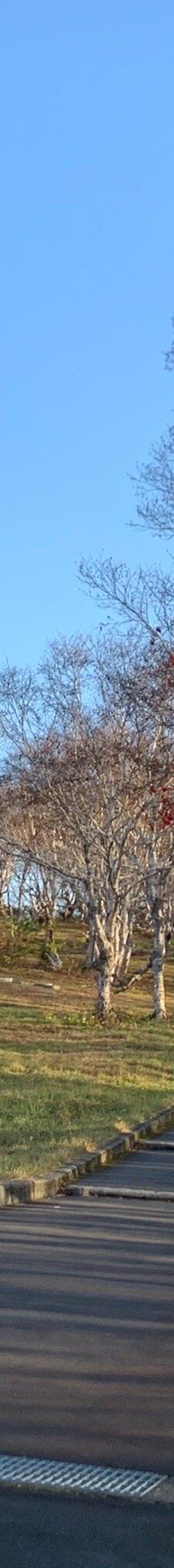 雪中行軍遭難記念像-青森