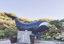 梶取崎園地景点图片