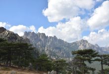 ALTE CIME景点图片