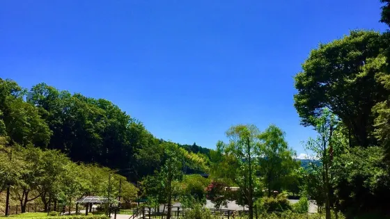 瑞浪市化石博物館
