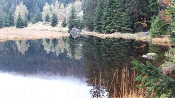 Kleine Arbersee