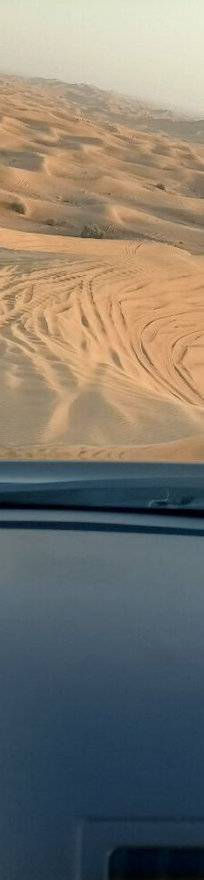 My Safari Dubai-迪拜