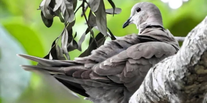 Rotary Park Environmental Center
