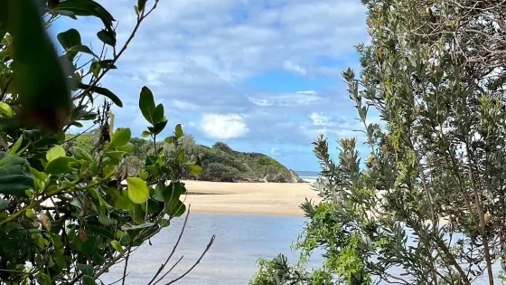 Lake Cathie Foreshore Reserve