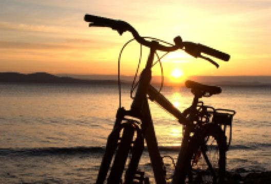 Zzuum - Active Vacation购物图片