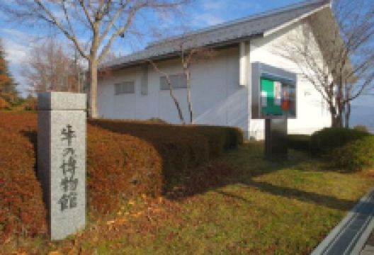 牛的博物馆景点图片