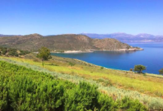 VOTANIA Herb Farm景点图片