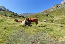 La Ferme Vignecoise购物图片