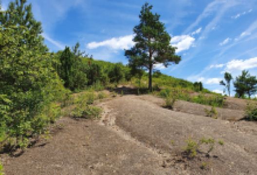 Pepper Mountains Reservation景点图片