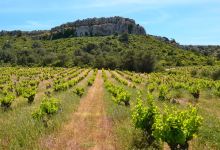 Castle Pech Redon景点图片