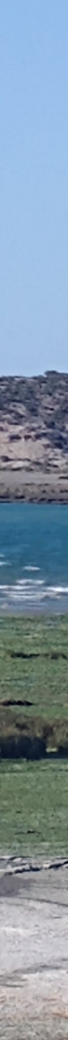 Reserva Natural Isla de los Pajaros-别德马