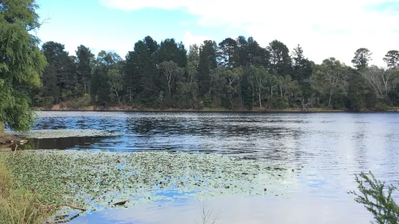 奧拉威爾湖公園