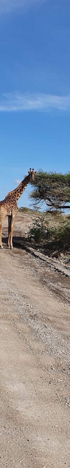 Adventure Africa Expedition-内罗毕