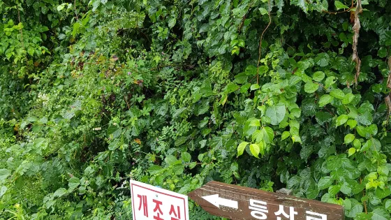 太華山
