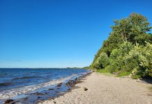Båringskov Camping景点图片
