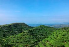 Bukit Indah Hill景点图片