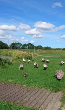 Hemlington Lake-米德尔斯堡