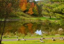 Deer Lakes Park景点图片