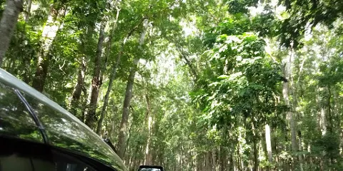 Alas Purwo National Park