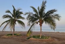 Faqiat beach Dibba景点图片