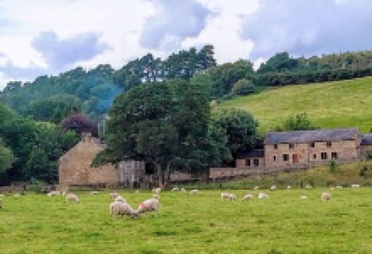 Bay Bridge Picnic Site & Car Park景点图片