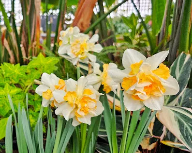 Regina Floral Conservatory